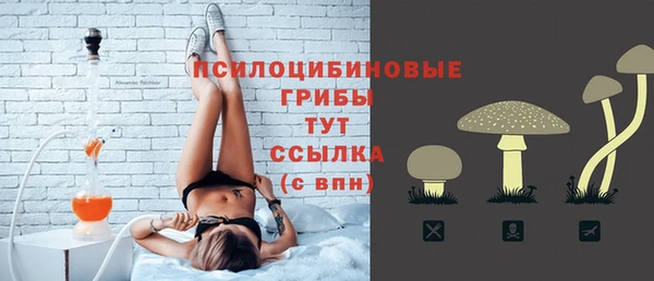 тгк Алзамай
