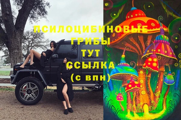 прущие крисы Алексин
