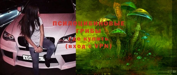 spice Алексеевка