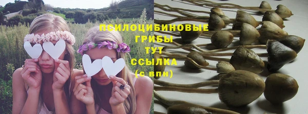 прущие крисы Алексин
